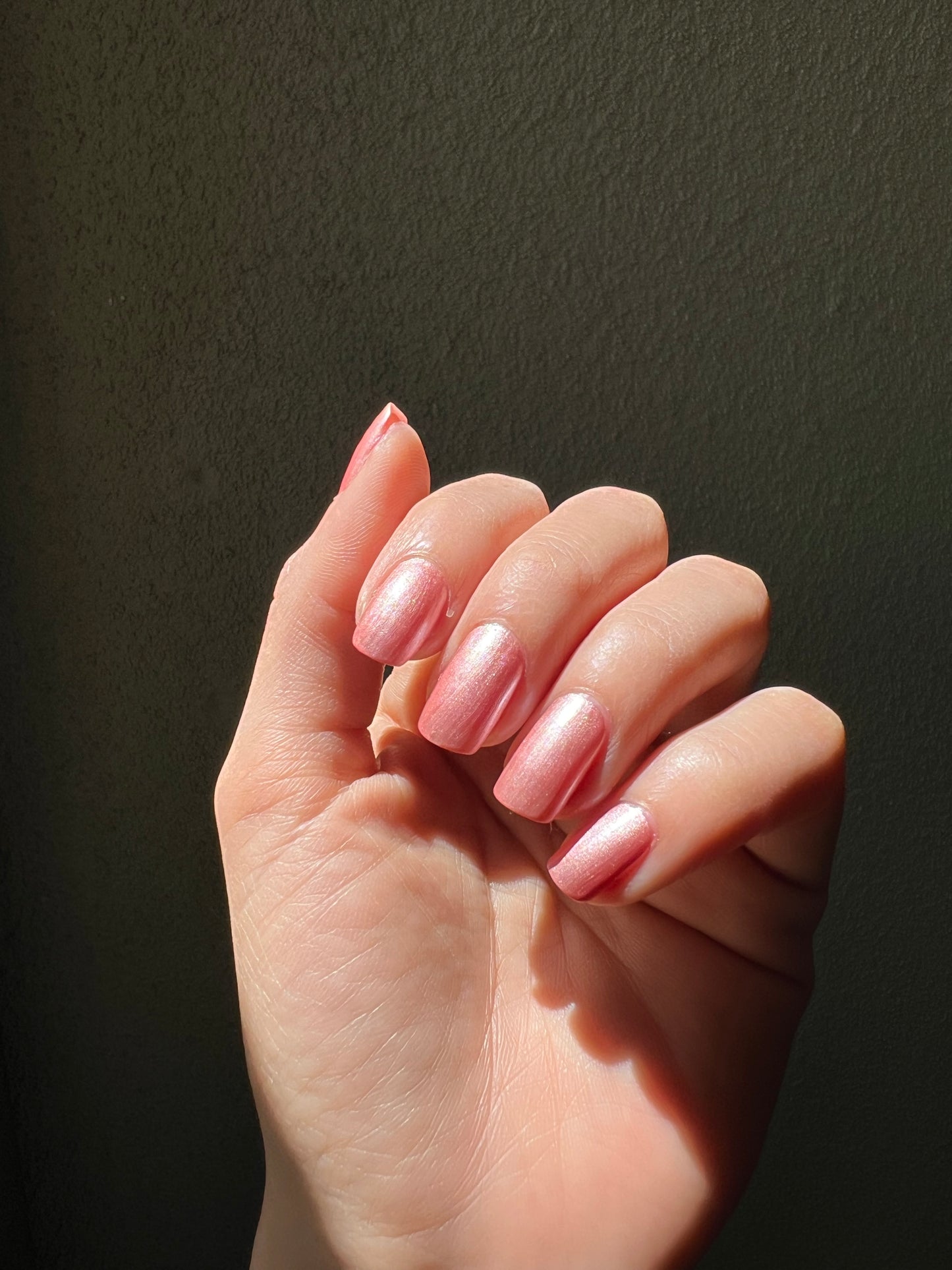 BLOSSOM